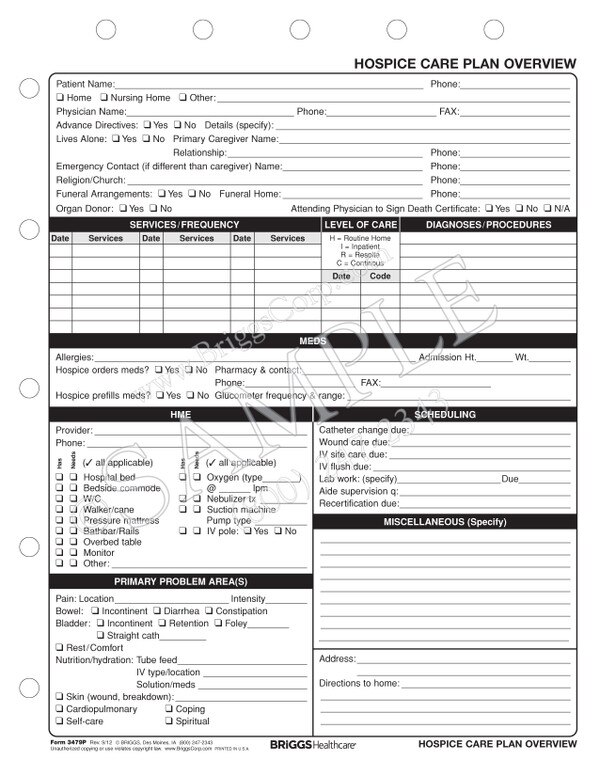 Hospice Care Plan Overview Form